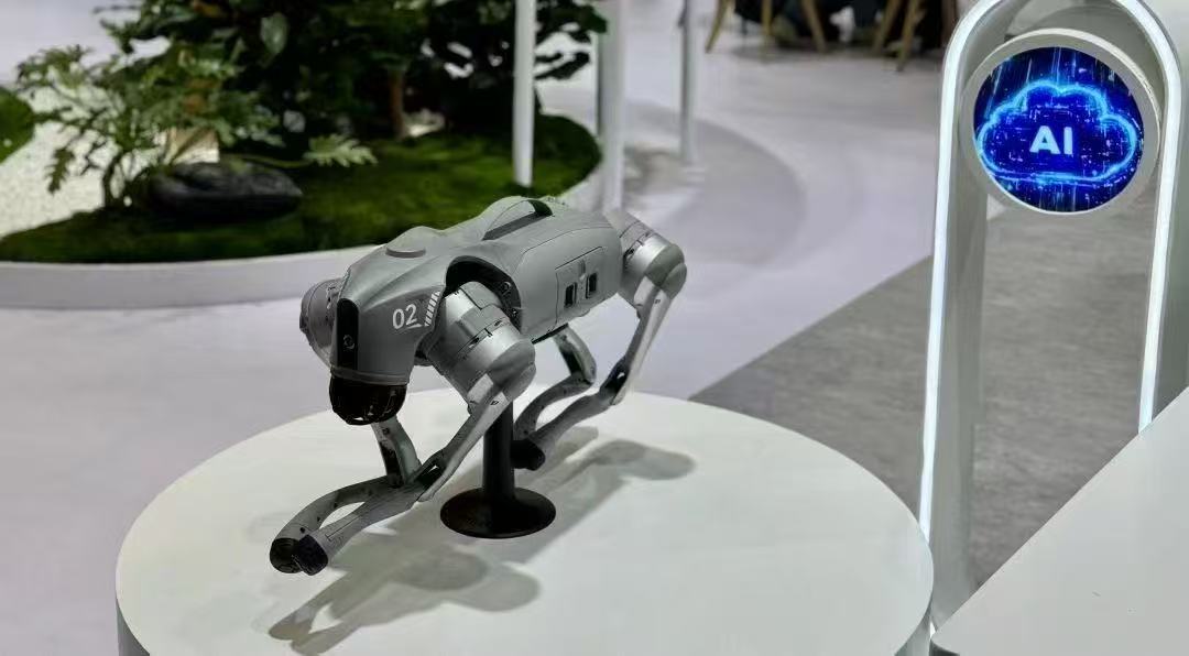 robot dog robot dog
